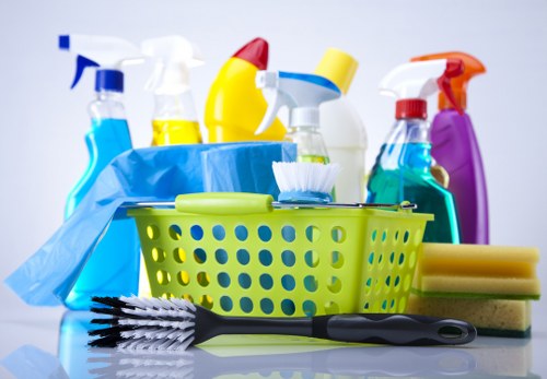Professional pet stain and odour removal treatment in a Bow home