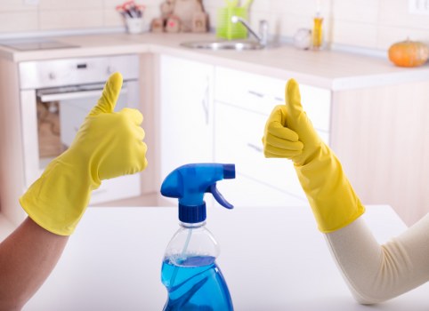 Carpet cleaning service for a Bow home living room