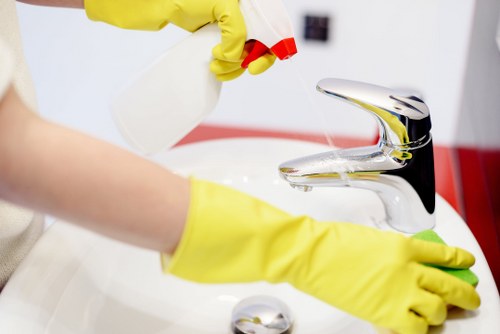 Deep cleaning process for a hallway runner in a Bow flat or terrace