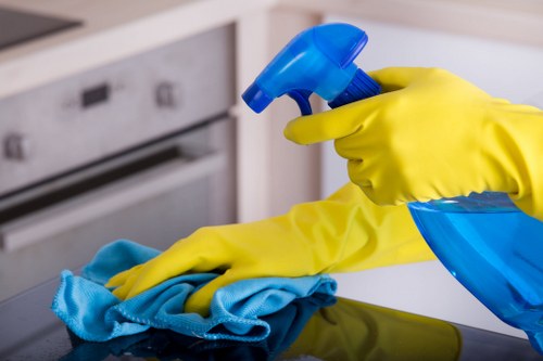 Cleaner carrying out regular home cleaning in a Bow flat