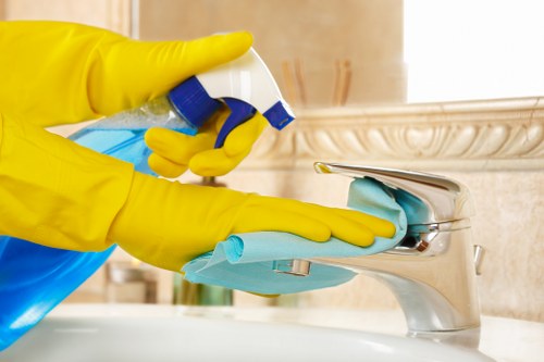 Local pet stain removal service helping Bow homeowners and businesses
