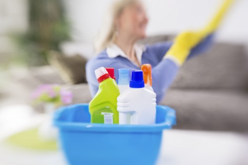 Domestic cleaner working in a Bow kitchen and living space