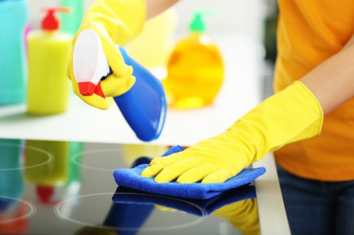 Professional deep cleaning details for a bathroom in Bow